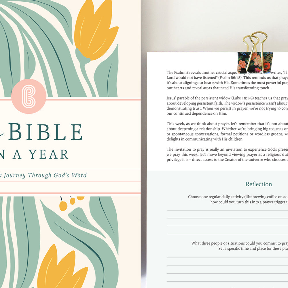 The Bible in a Year: A 52-Week Guided Journey Through Scripture