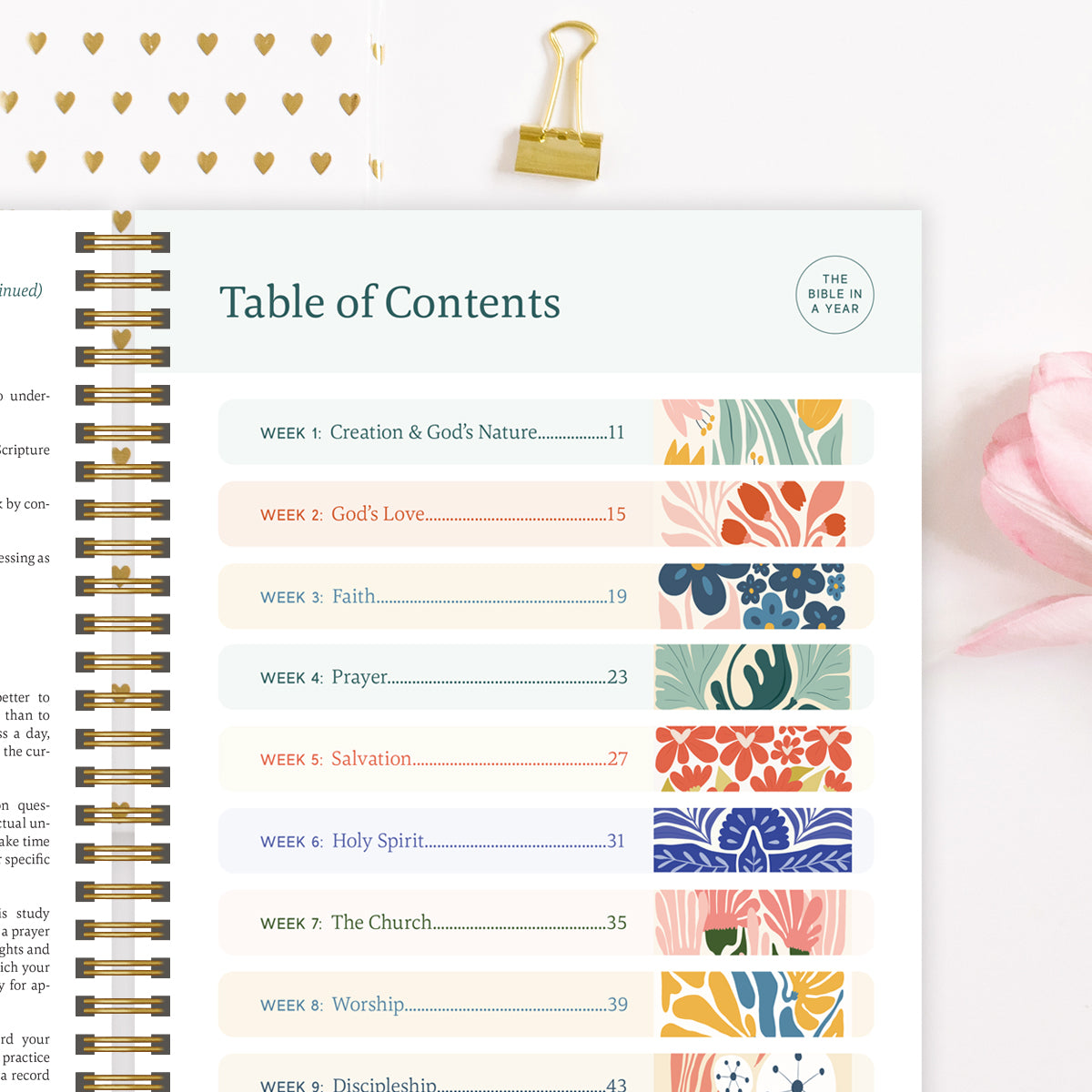 The Bible in a Year: A 52-Week Guided Journey Through Scripture