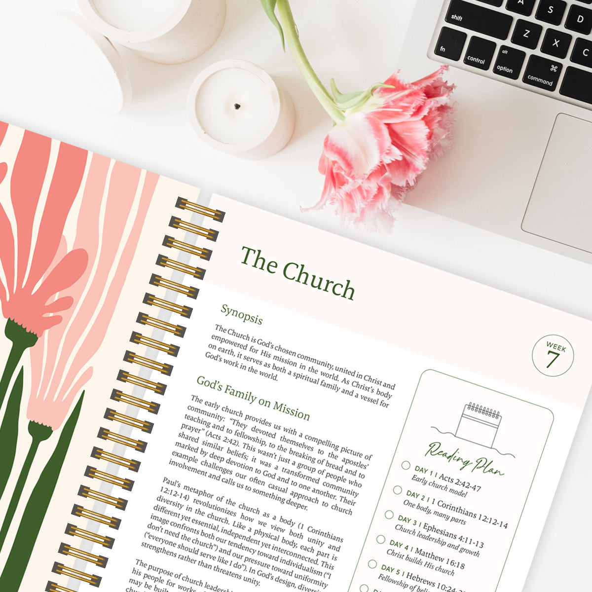 The Bible in a Year: A 52-Week Guided Journey Through Scripture