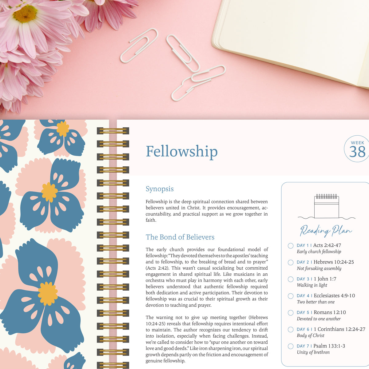 The Bible in a Year: A 52-Week Guided Journey Through Scripture